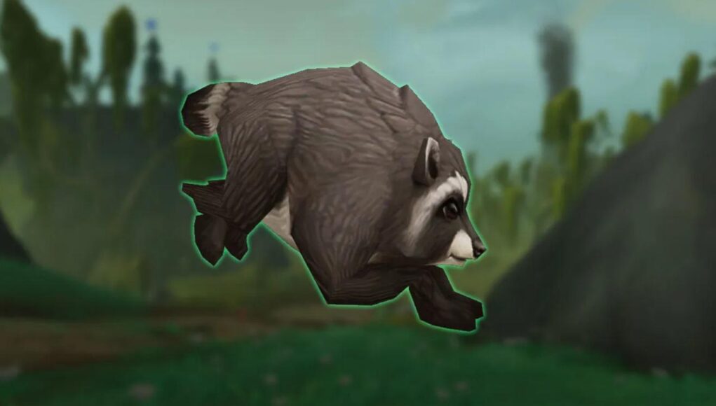 WoW Bild Waschbär Meme