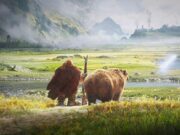 WoW Forever: Ein neues System optimiert Sammelquests in Gruppen