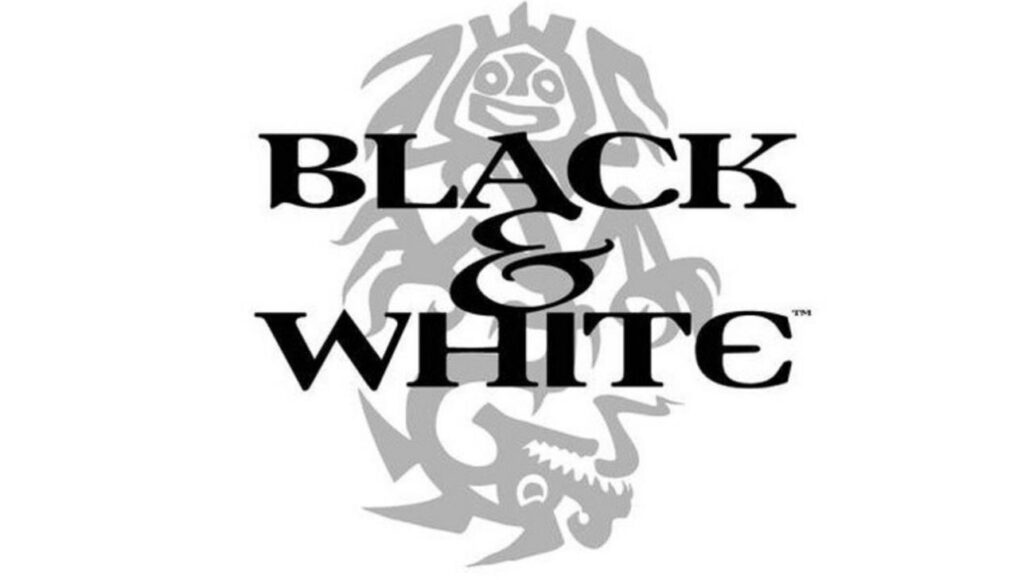 BLack and White Spiel Bild